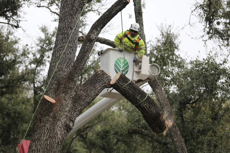 Storm Damage Cleanup in Highland Park