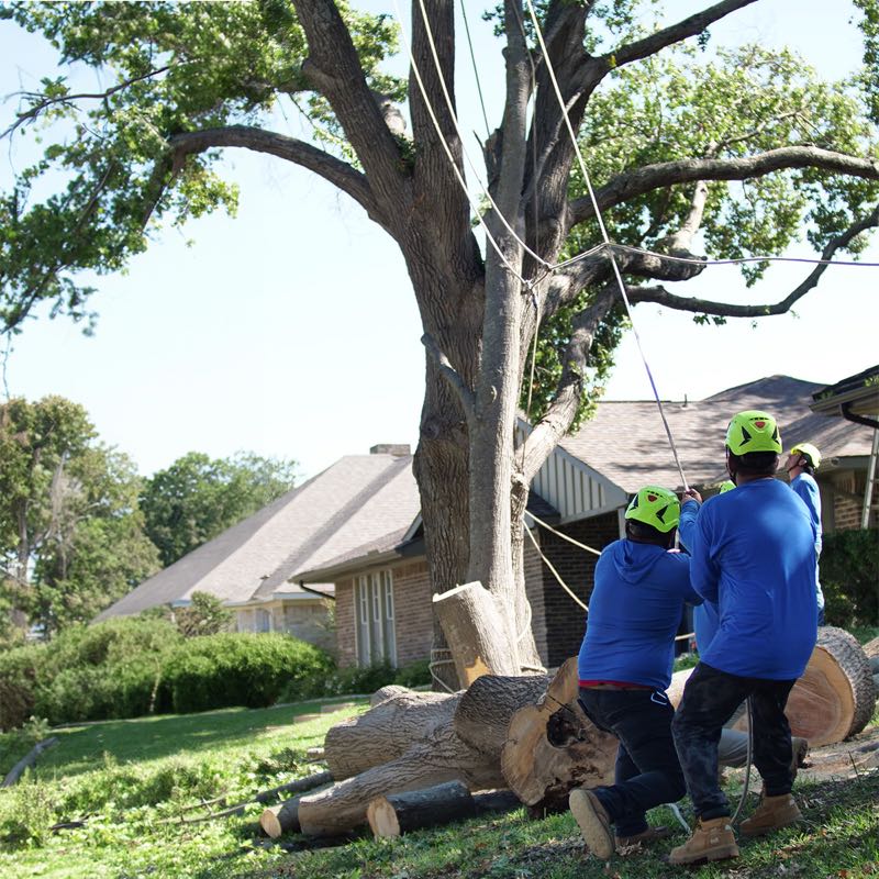 {SERVICE_NAME} project in Highland Park