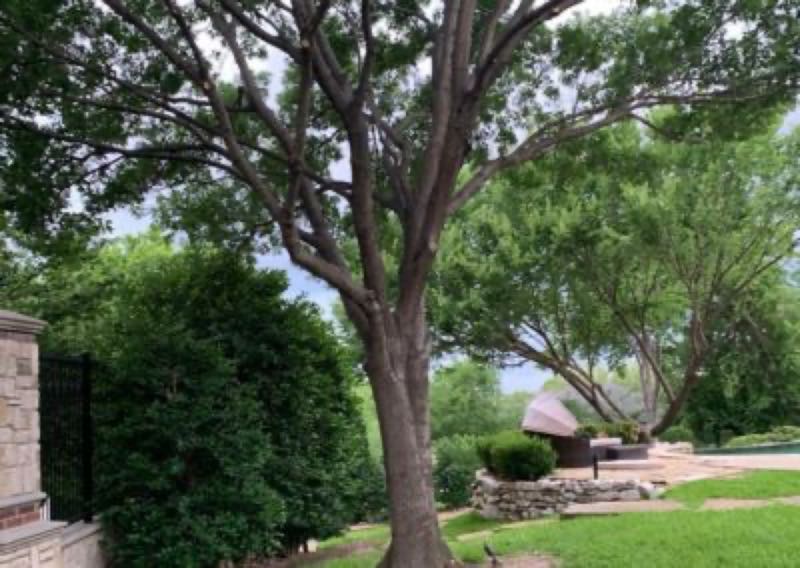 {SERVICE_NAME} project in Highland Park